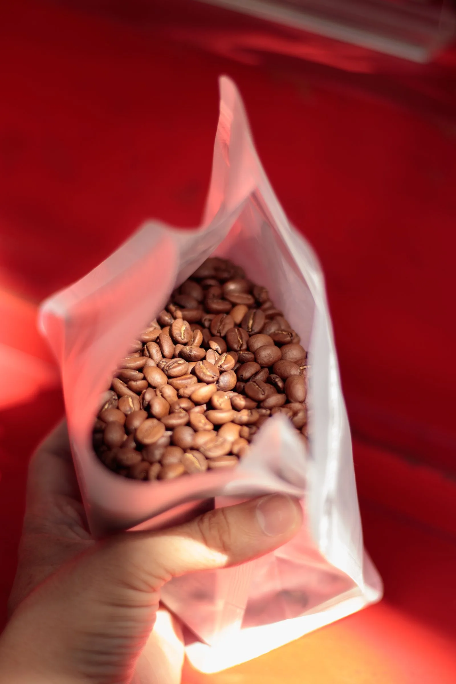 Coffee beans covered in frost and ice crystals from condensation