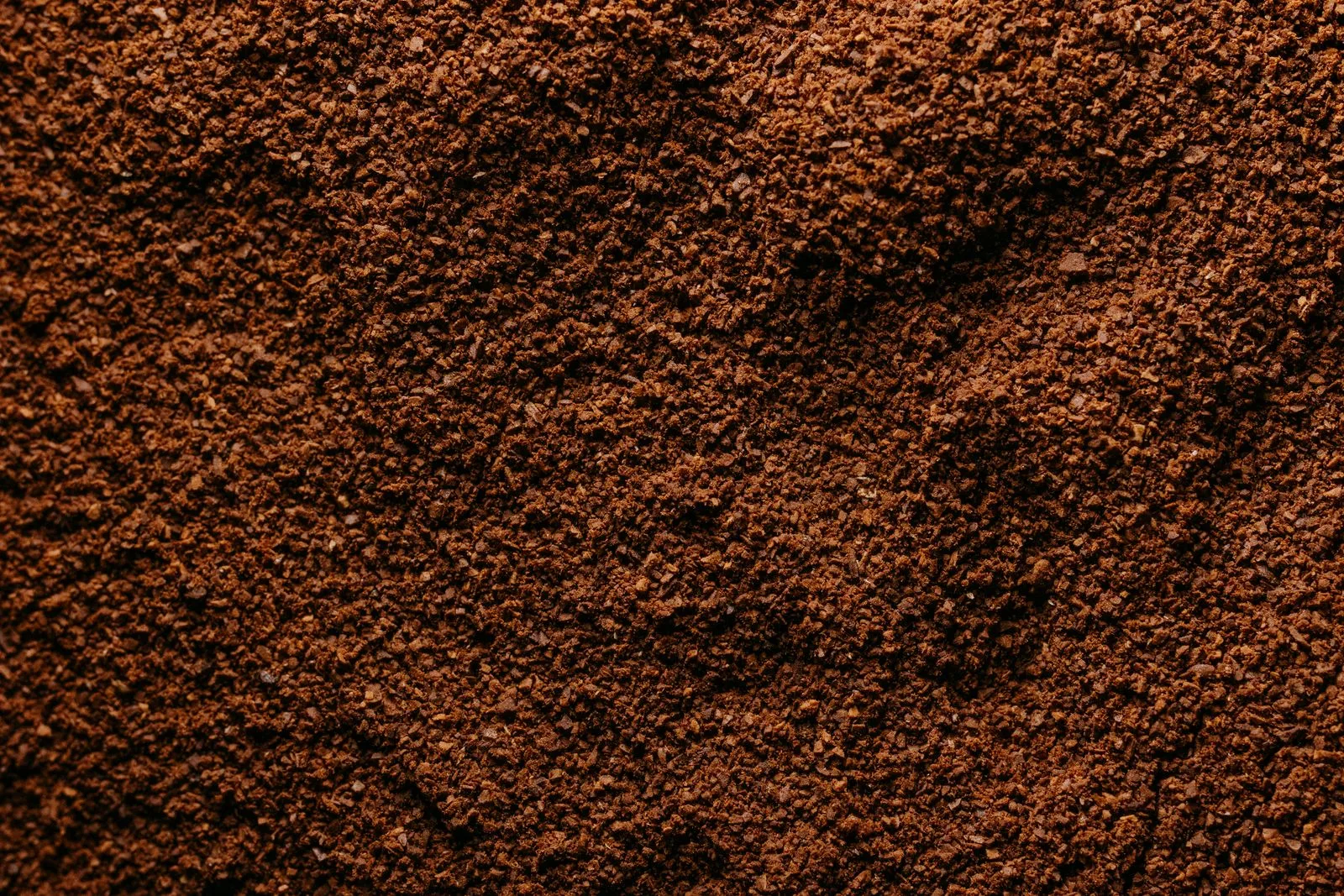 Close-up of ground coffee with medium-coarse texture