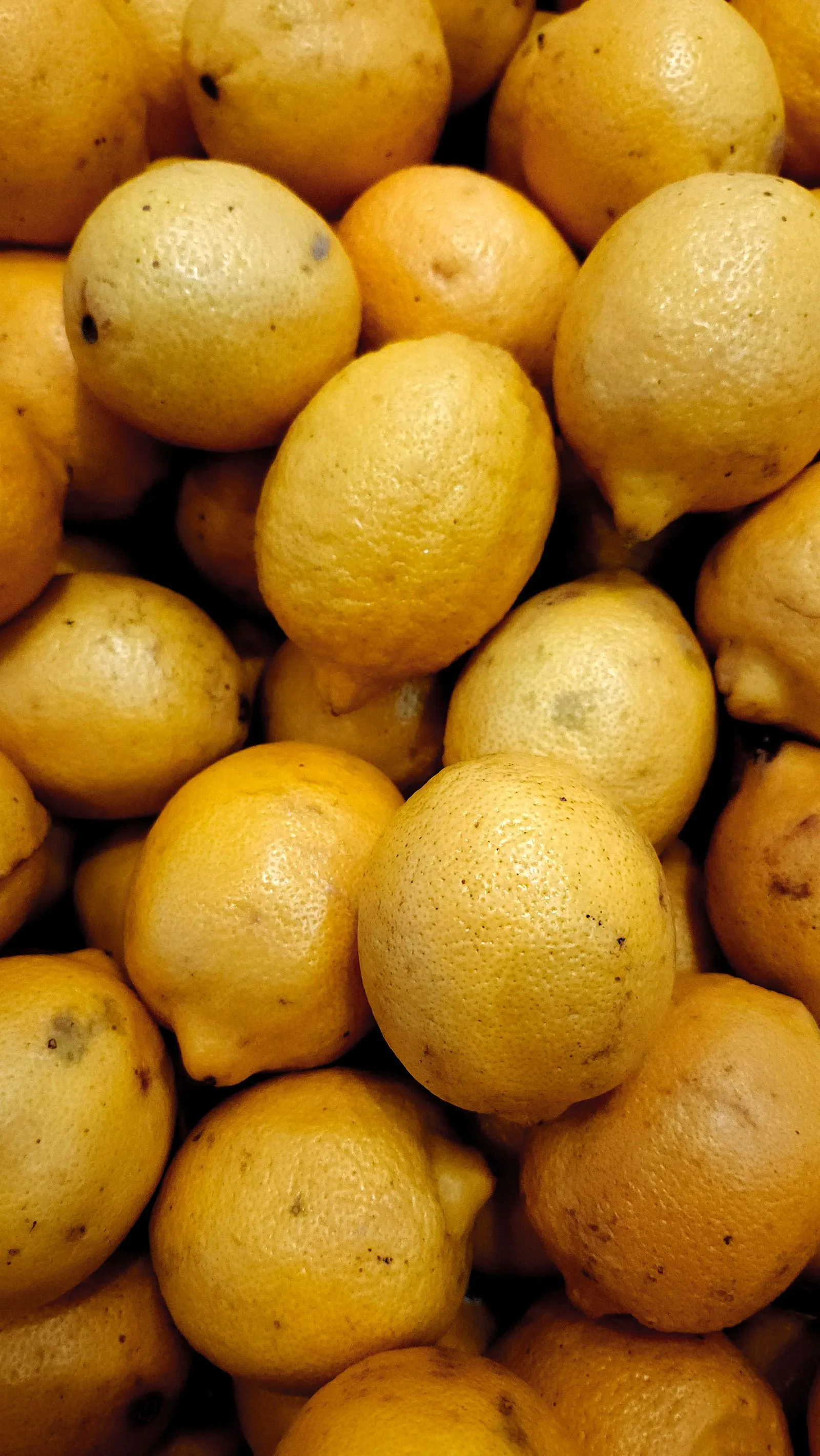 Measuring citric acid powder and white vinegar used as natural descaling solutions for espresso machines