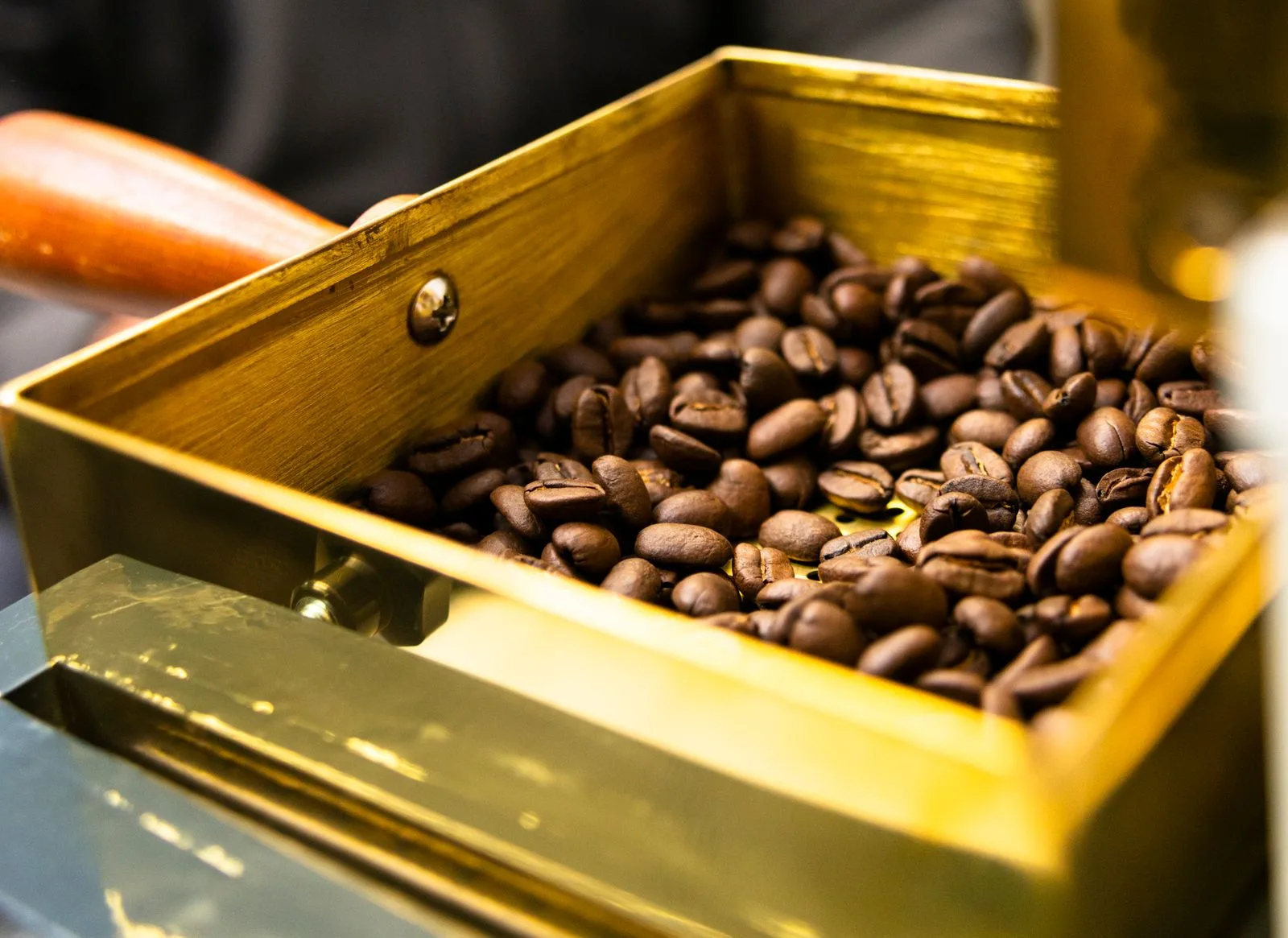 Fresh specialty coffee beans cooling after roasting